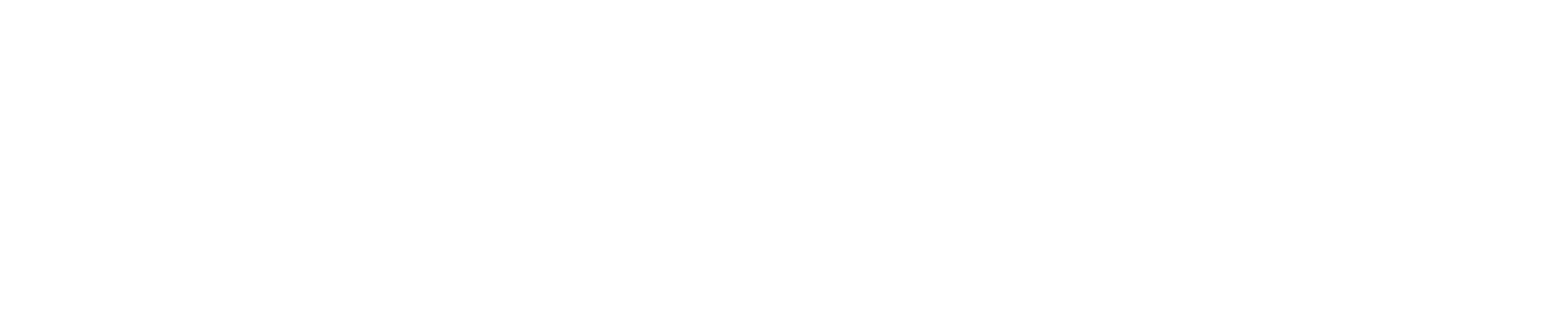 Firework-logo-RGB_White.png