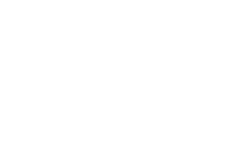 Salesforce.com_White