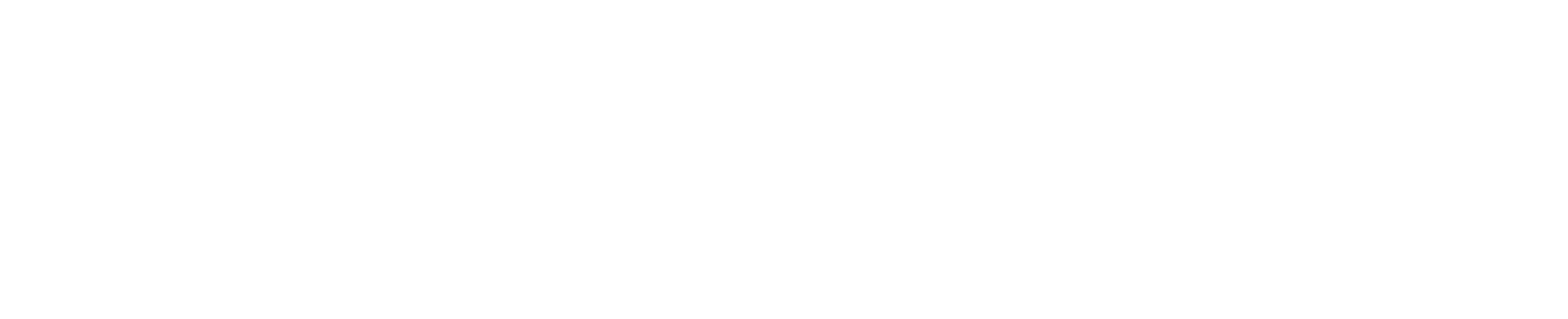 WordPress-logo-White